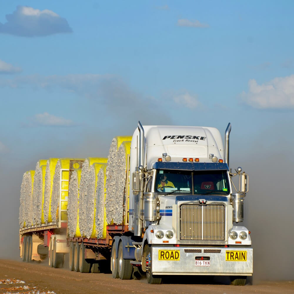 The Great Potential of Cotton Transport Industry